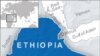 Ethiopian Journalist Alleges Detention for Inciting Egypt-Style Protests