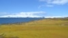 Climate Change Fueling Rapid Greening of Antarctic Peninsula