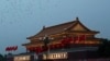 在国庆日的升旗式上，鸽子飞过天安门。（2014年10月1日）