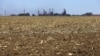 A dry maize field near Vanderbijlpark outside Johannesburg, South Africa, Oct. 1, 2015. Poor rains are forecast for the country's maize belt because of the El Nino weather pattern, expected to bring more drought to already-parched southern regions in Africa and potential flooding in the east. 