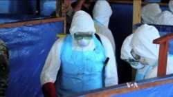 World Health Organization in Spotlight Over ‘Slow’ Ebola Response