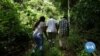 Ghana’s Private Forest Project Brings Business to Reforestation 
