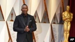 Mahershala Ali tiba di perhelatan Oscars 2017 di Dolby Theatre, Los Angeles (26/2). 