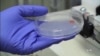 Researchers Work on 3-D Printing of Living Tissue