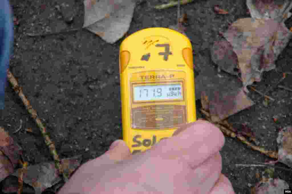 An unusually high radiation reading of about 172 micro-sieverts per hour over some vegetation on the ground of the Pripyat amusement park,&nbsp;in Pripyat, near the Chernobyl Nuclear Power Plant, Ukraine, March 19, 2014. (Steve Herman/VOA)