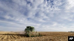 FILE - Judy Barrett combines corn on her farm in Dallas Center, Iowa, Nov. 10, 2014.