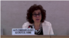 Criticism of Russia Military Build-up Dominates UN Session on Rights in Ukraine 