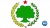 በእስር ላይ የሚገኙ የኦነግ አመራሮች የረሃብ አድማ ላይ መሆናቸውን ፓርቲው አስታወቀ
