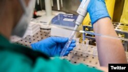 ARHIVA - Laboratorija u Crnoj Gori (Foto: Institut za javno zdravlje Crne Gore)