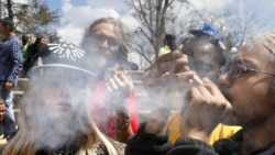 Quiz - Marijuana’s Growth in US Drives Breathalyzer Test Technology