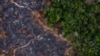 Una zona quemada del bosque tropical de la Amazonia en Prainha, en el estado de Pará, Brasil, en una foto del 23 de noviembre de 2019. La amazonia ha perdido el 10% de su vegetación autóctona en 4 décadas. 