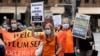 Australia Marks Refugee Week as Campaigners Urge for Better Policy  