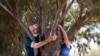 Feeling Sad? Hug a Tree!