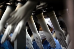 FILE - A worker collects rubber gloves at Top Glove's factory in Klang, outside Kuala Lumpur, March 11, 2008.
