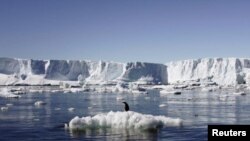 Penguin berdiri di atas balok es yang meleleh di Antartika timur.