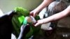 Collegian's Nonprofit Empowers Needy Africans Via Entrepreneurship