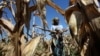 Global Hunger Rising, Artificial Intelligence Can Help