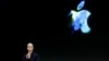 Le PDG d'Apple obligé d'utiliser un jet privé