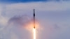 Spacex Launches Ants, Avocados, Robot to Space Station