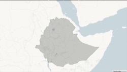 
የኦሮሞ ብሔረሰብ ልዩ ዞን ዋና አስተዳዳሪን ግድያ ተከትሎ ለጸጥታ ችግሮች መፍትሔ እንዲፈለግ ተጠየቀ
