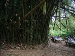 Involving the local community is key to creating a sustainable forest, Wellington Baiden says, Oct. 3, 2020. (Stacey Knott/VOA)