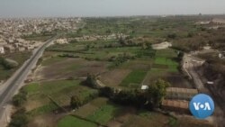 Eco-Friendly Farm Practices Grow in Senegal