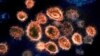 Cheap Antidepressant Shows Promise Treating Early COVID 