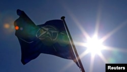 NATO zastava