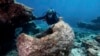 Obama Plans to Create World's Largest Marine Protected Area