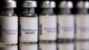 L'Agence européenne des médicaments valide un vaccin contre la variole du singe