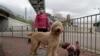 Dogs, Cats Can't Pass on Coronavirus, but Can Test Positive