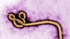 Congo Faces New Ebola Outbreak