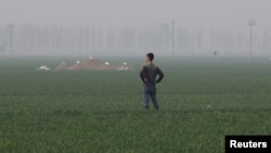 A man stands next to tombs in the field on the outskirts of Rongcheng county, one part of the new special economic zone Xiongan New Area, China, April 6, 2017.