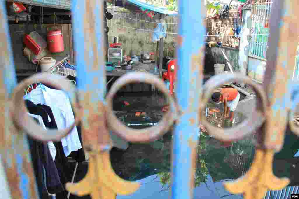 ក្មេងស្រី​ម្នាក់​លេង​ទឹក​ដែល​លិច​នៅ​មុខ​ផ្ទះ​របស់​លោក ឃឹន សុវាត ដែល​ស្ថិត​នៅក្នុង​តំបន់​បឹងកក់ ក្នុង​ទីក្រុង​ភ្នំពេញ​នៃ​ប្រទេស​កម្ពុជា នៅ​ថ្ងៃ​ទី​១៣ ខែ​វិច្ឆិកា ឆ្នាំ​២០១៤។ (នូវ ពៅលក្ខិណា)