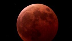 Quiz - New Measurements on the Moon Show Harmful Radiation Levels
