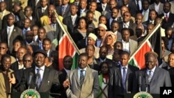 Kenya's Prime Minister, Raila Odinga makes an address to the public as President Mwai Kibaki and other members of parliament listen after an official announcement of provisional results of Kenya's constitutional referendum in Nairobi (file photo).