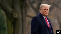 Президент США Дональд Трамп 