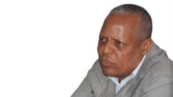 “ስህተትን ማመን አዲሱ የኢሕአዴግ አካሄድ ነው” - መረራ ጉዲና