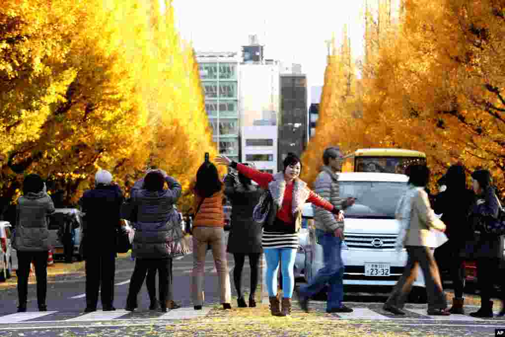 Seorang perempuan berpose sementara warga lainnya memotret pohon yang daun-daunnya menguning saat musim gugur di sebuah taman umum di Tokyo, Jepang. 