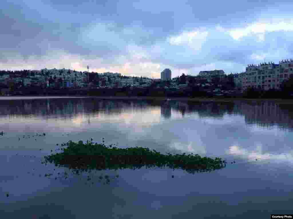 Lake at Gazelle Valley Park (Amir Balaban)